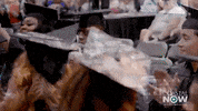GIF by Coastal Carolina University
