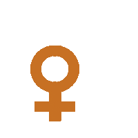 RachaelVivienne women strength equality strong women Sticker