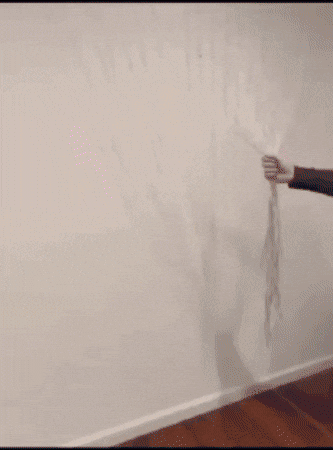 FamilyImport giphygifmaker GIF