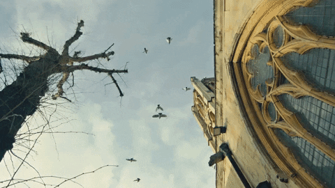 Music Video Dancing GIF by Digga D