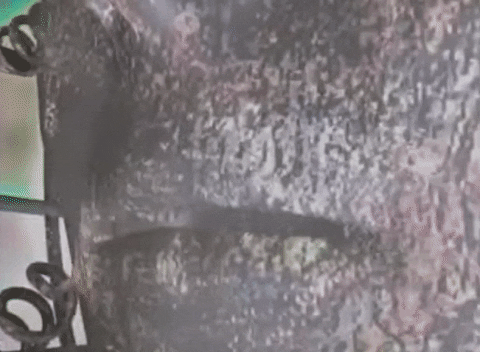 shed nuclear blast GIF by Meshuggah