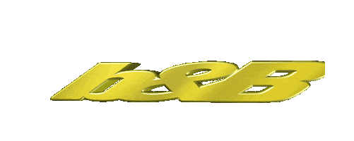 b&b beerbongs and bentleys Sticker by Post Malone