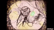 GIF by Alex Boya