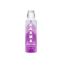 Drink Water Coconut Sticker by Karma Water
