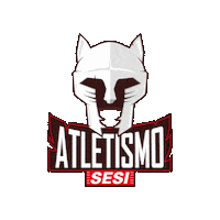 sesisaopaulo esporte jogo torcida sesi Sticker