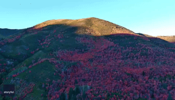 Drone Footage Captures Spectacular Fall Foliage in Utah