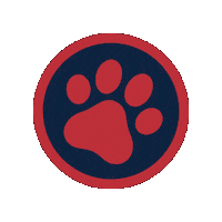 Baseball Northwest Sticker by Ozball