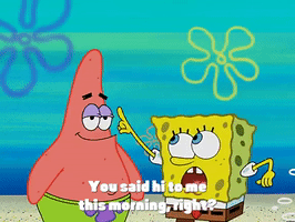 season 3 missing identity GIF by SpongeBob SquarePants
