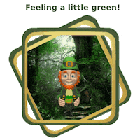 St Patricks Day Fantasy GIF