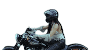 Country Music Bike Sticker by Kassi Ashton