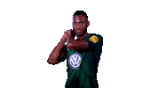 france football Sticker by VfL Wolfsburg