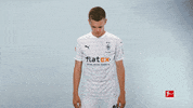 Looking Line Up GIF by Bundesliga