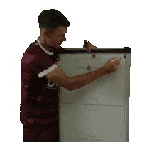 Goal Tor Sticker by BFC Dynamo