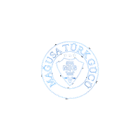 Football Sampiyon Sticker by NorthernLAND