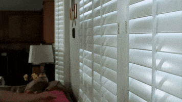cameron dallas GIF by EXPELLED