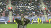 ali al habsi latics GIF by Wigan Athletic