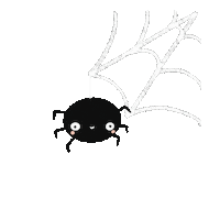 Halloween Spider Sticker