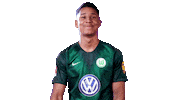 Well Done Good Job Sticker by VfL Wolfsburg