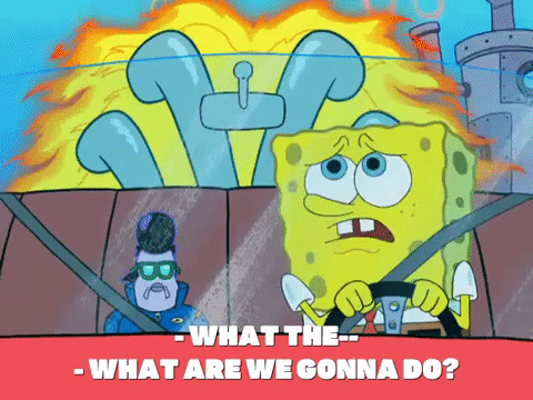 season 8 GIF by SpongeBob SquarePants
