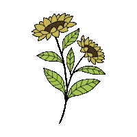 SouthernClassByKatie summer sunshine garden floral Sticker