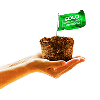 sulgesso solo sulgesso sulfacal Sticker