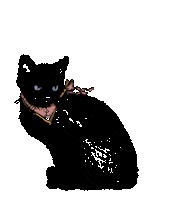 Tough Luck Sticker by Laufey