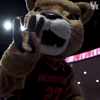 University Of Houston Basketball GIF by Coog Mania