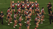 New Zealand Fish GIF by NZWarriors