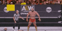Aew On Tnt Miro GIF by All Elite Wrestling on TNT