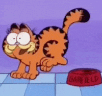 Happy Cat GIF