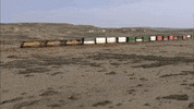 wyoming GIF