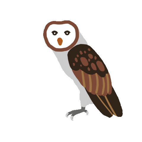 Bird Owl Sticker by VJ Suave