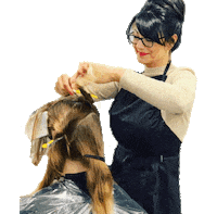 Capellistyle maria hairdresser friseur capelli Sticker