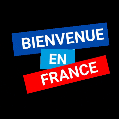 Campus France Deutschland GIF - Find & Share on GIPHY