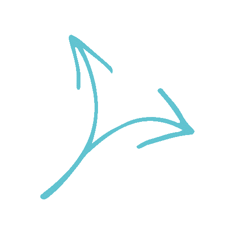 Vienna Wvp Sticker by Wiener Volkspartei