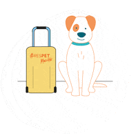 Zoetis Sticker by respetmascotas