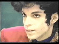 prince GIF