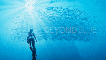 Fish Diving GIF by Beyond Blue