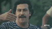 GIF by NETFLIX