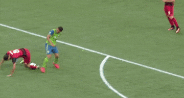 dawgfan89 giphyupload GIF