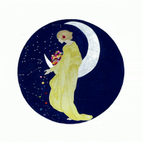 MoonshadowFest moonshadow moonshadowfest moonshadowfestival moonshadow fest GIF