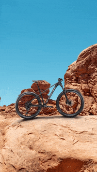 TrekBicycleMexico  GIF
