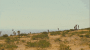 Music Video Desert GIF by Patrick Paige II
