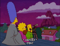 bart simpson episode 23 GIF