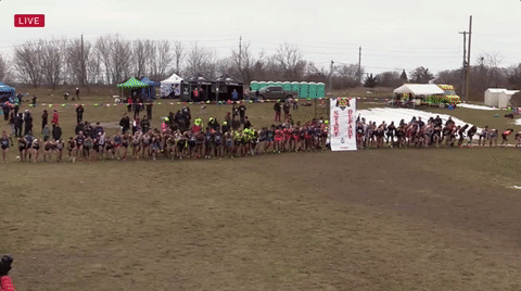 usa running GIF by RunnerSpace.com