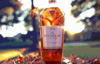single malt whiskey GIF