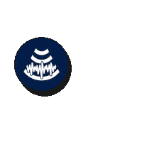 Pal Stillbirth Sticker by PUSH for Empowered Pregnancy