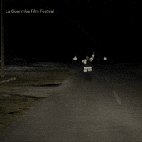 Car Driving GIF by La Guarimba Film Festival