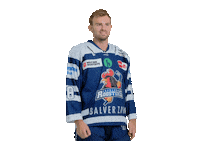 Ice Hockey Sticker by Iserlohn Roosters