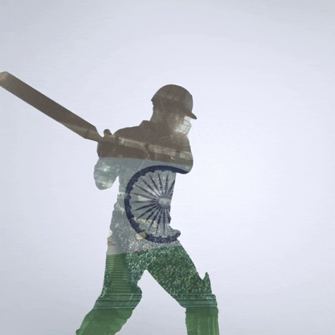 Cricket World Cup India GIF by RightNow